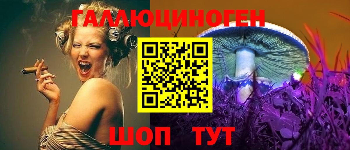 Галлюциногенные грибы Psilocybine cubensis  Вход с VPN  Апшеронск 